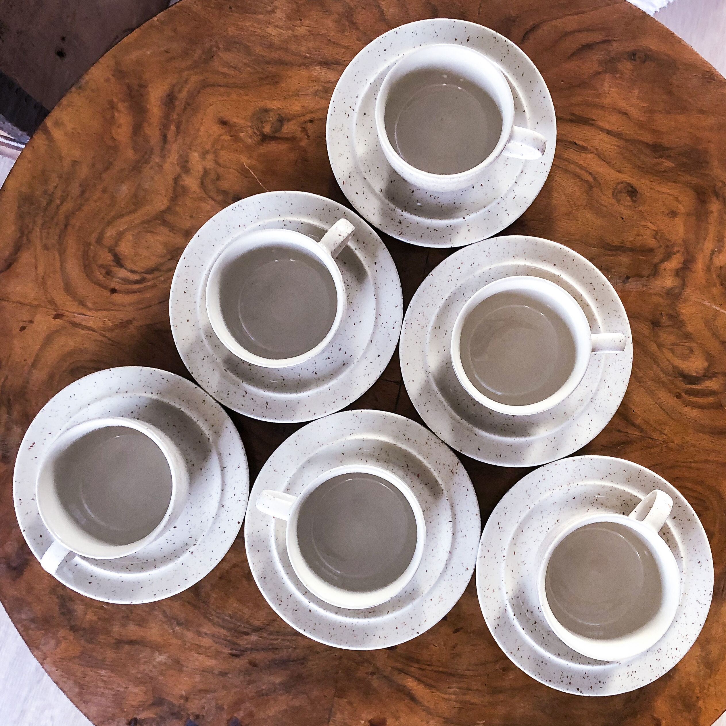 Set of 6 cups with its 6 speckled subcups
