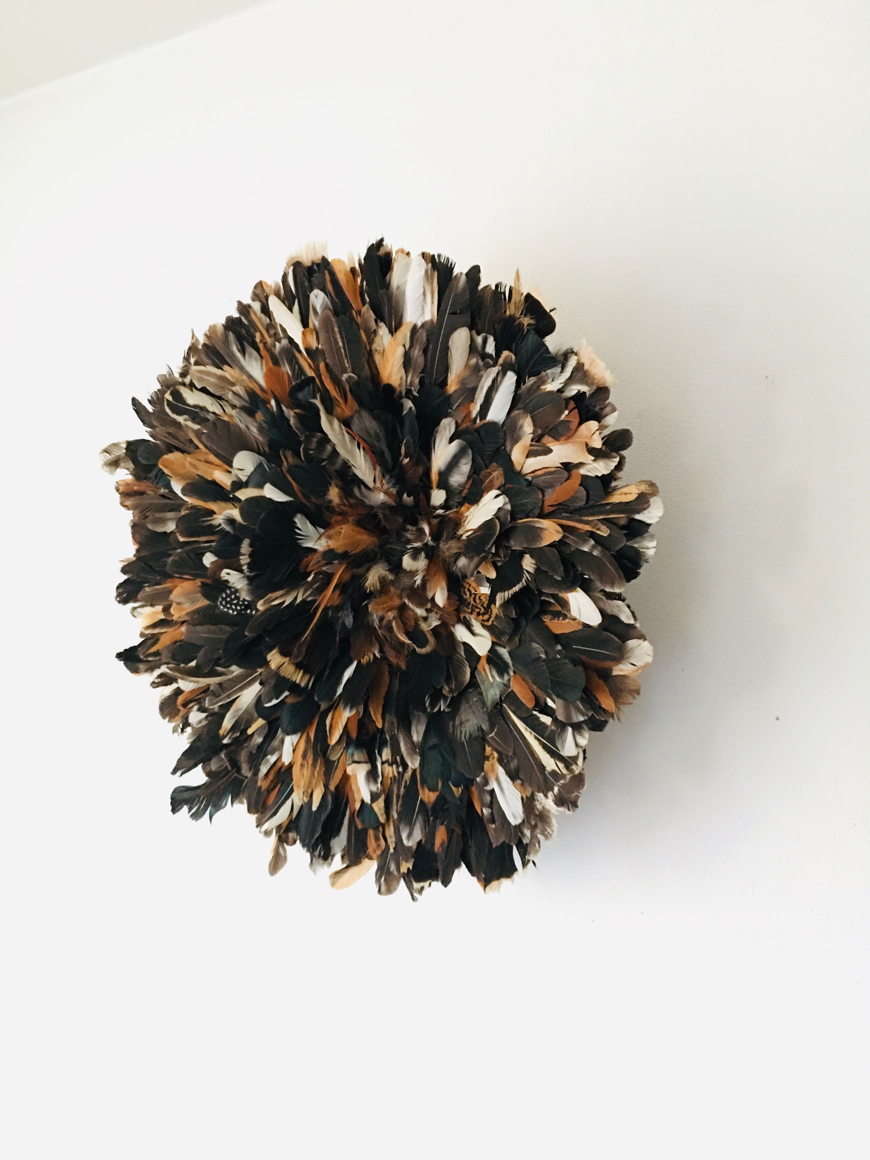 Speckled black jujuhat 50 cm