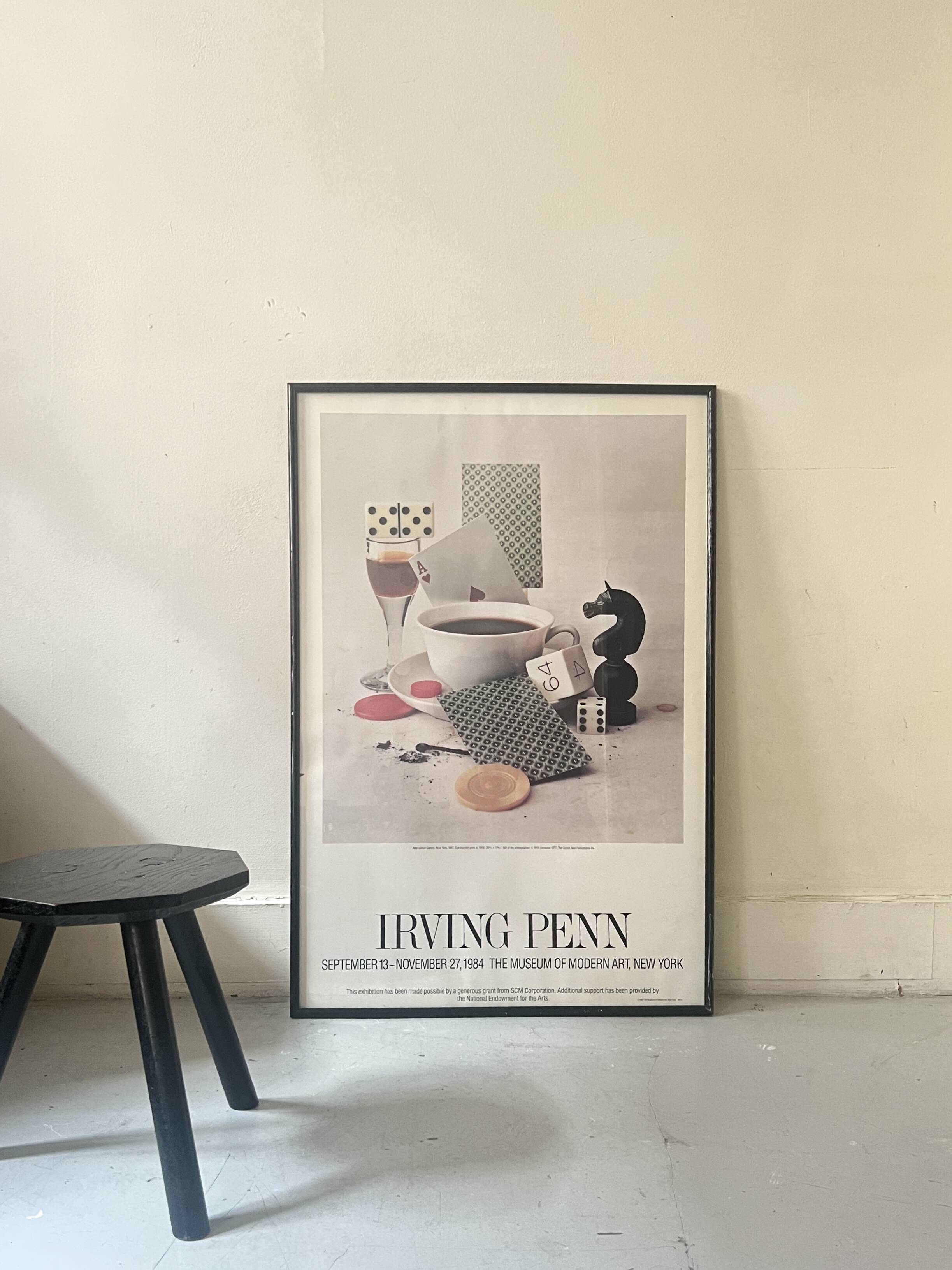 Original and official poster Moma New York, Irving Penn 1984