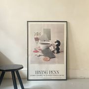 Original and official poster Moma New York, Irving Penn 1984