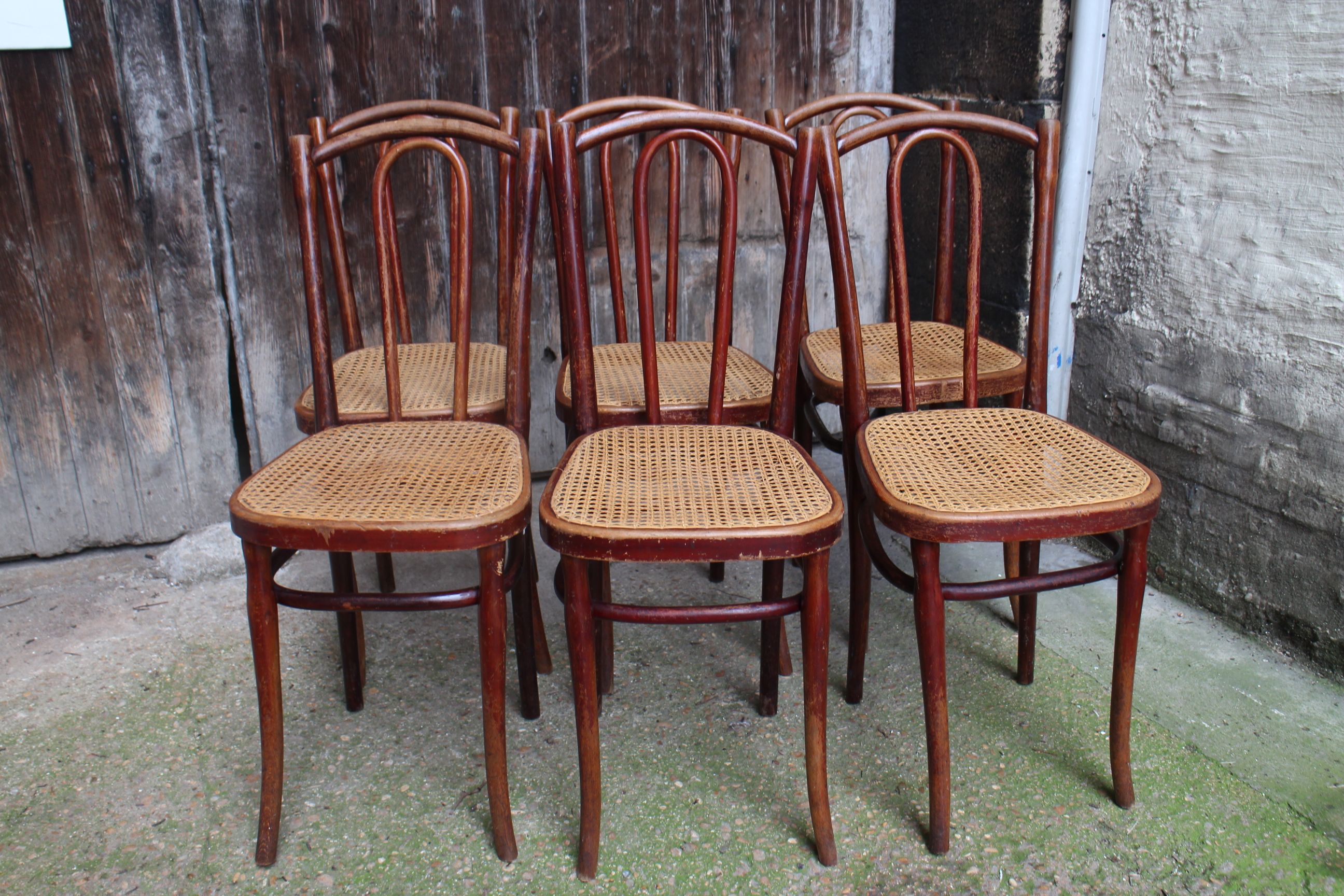 Series of 6 kohn bistro chairs curved wood and cannage