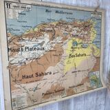 Vintage school map