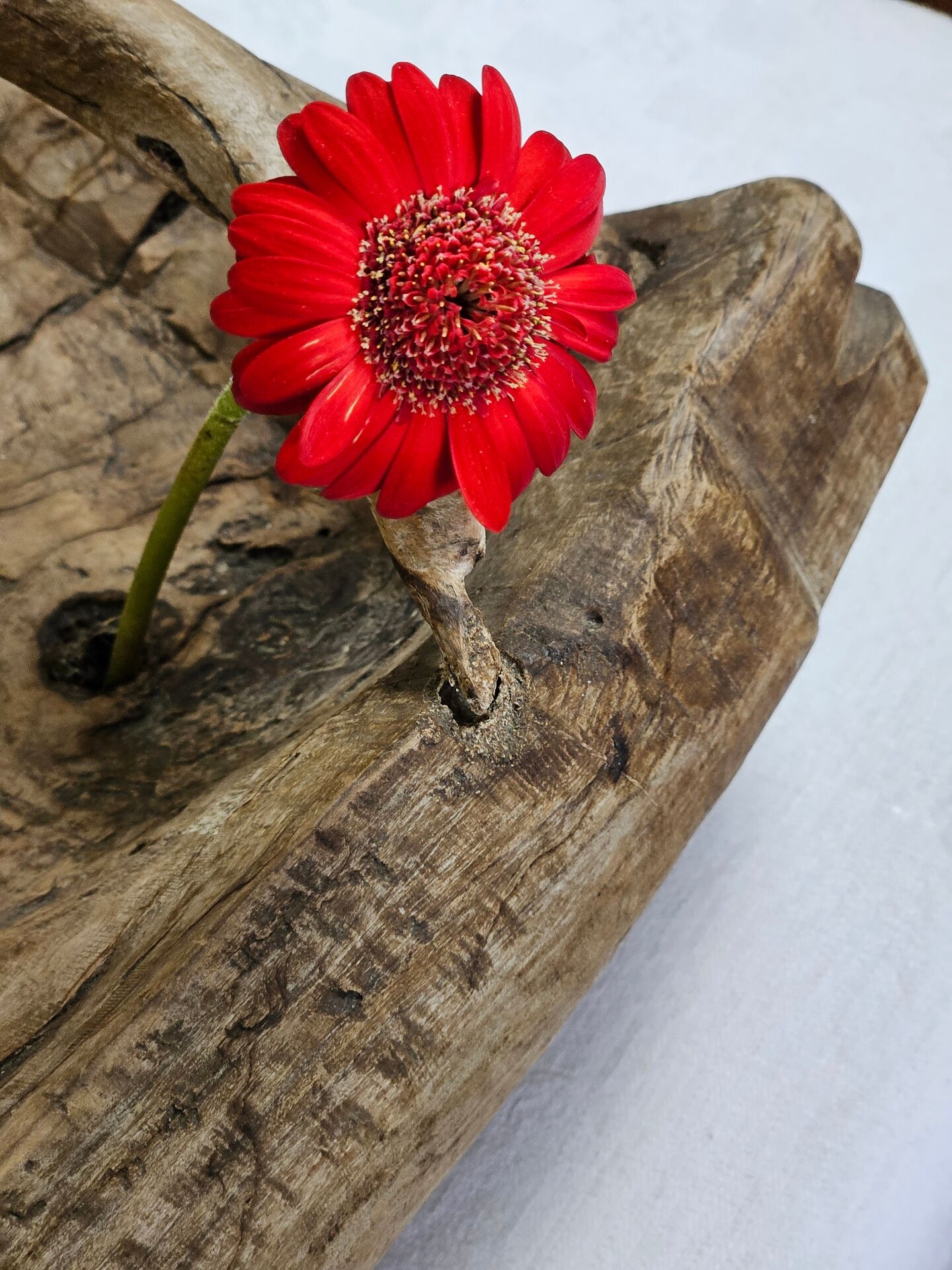 Vintage brutalist olive wood basket