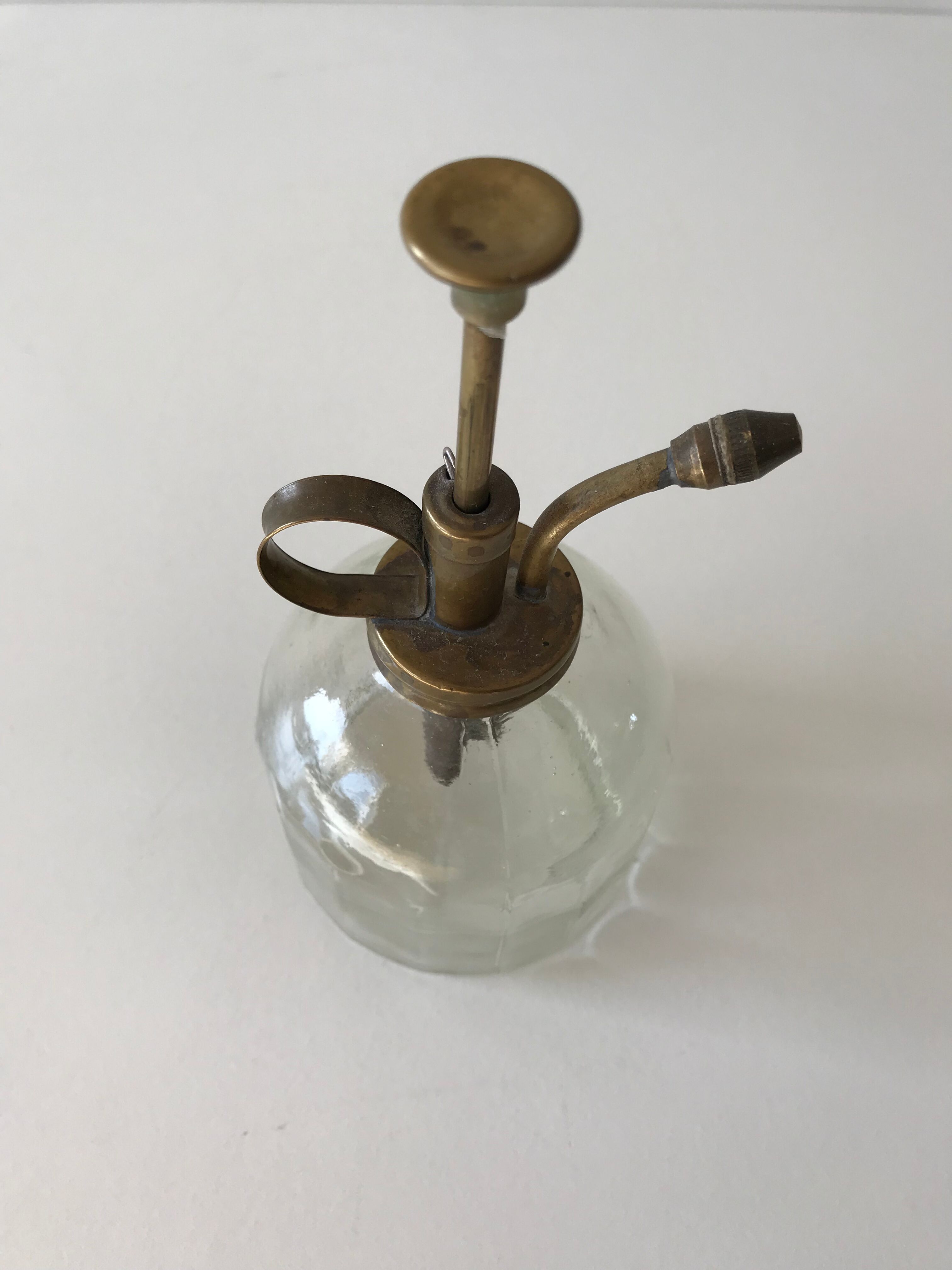 Mist for house plants