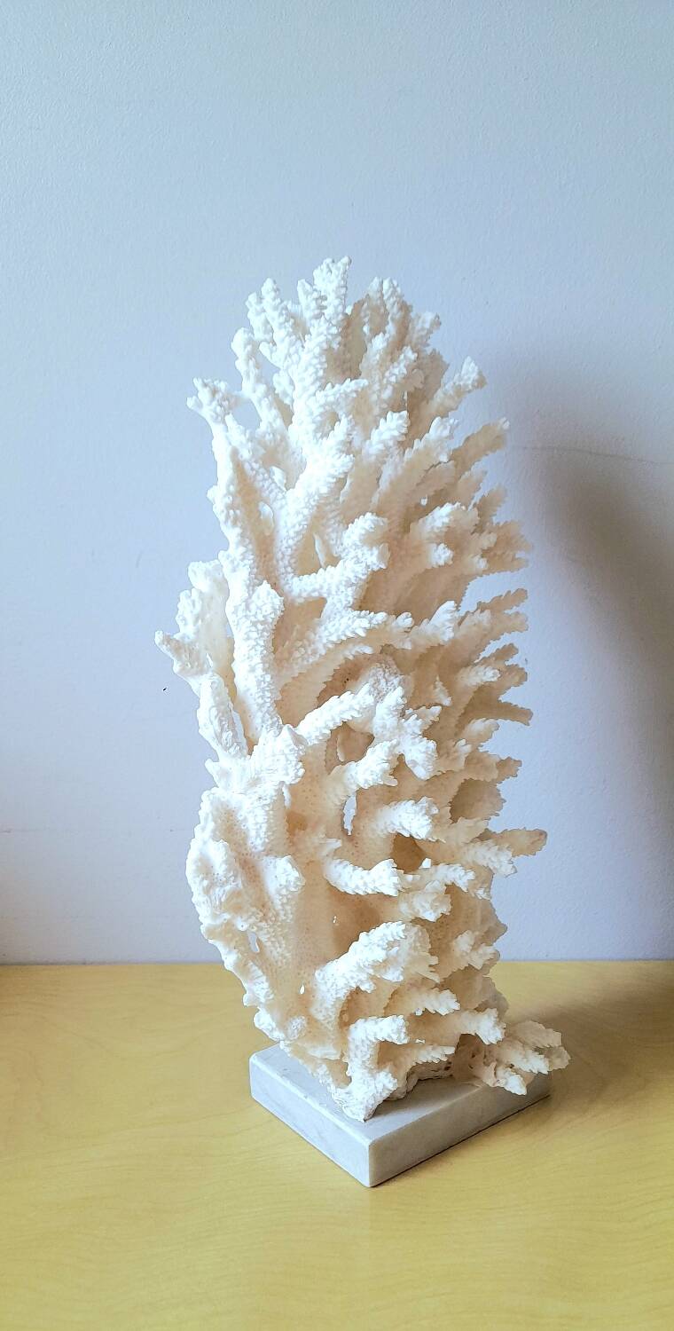 Antique white coral on marble base