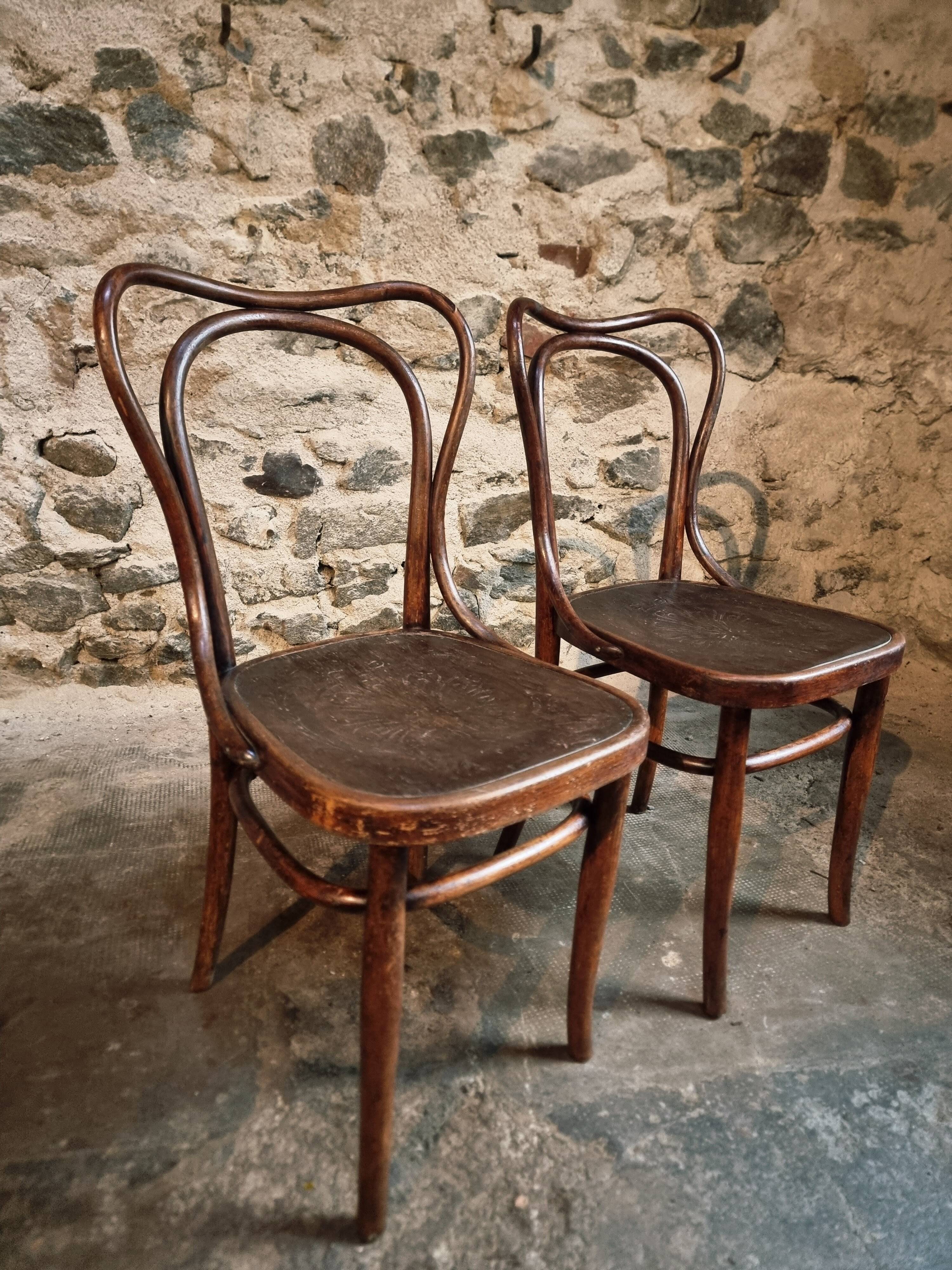 Pair of curved wooden chairs by Jacob & Josef Kohn, Vienna circa 1900