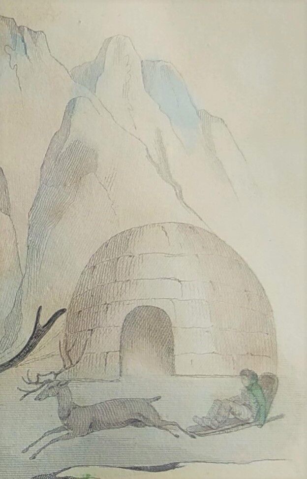 Original Zoological Board " Elan & Reindeer - Buffon 1836