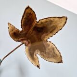 Large Brutalist brass wall light with maple branch, 1970s