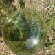 Ancienne dame jeanne 12 litre