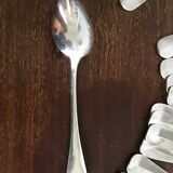 Silver metal covers in their pouch