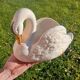 Swan Vase