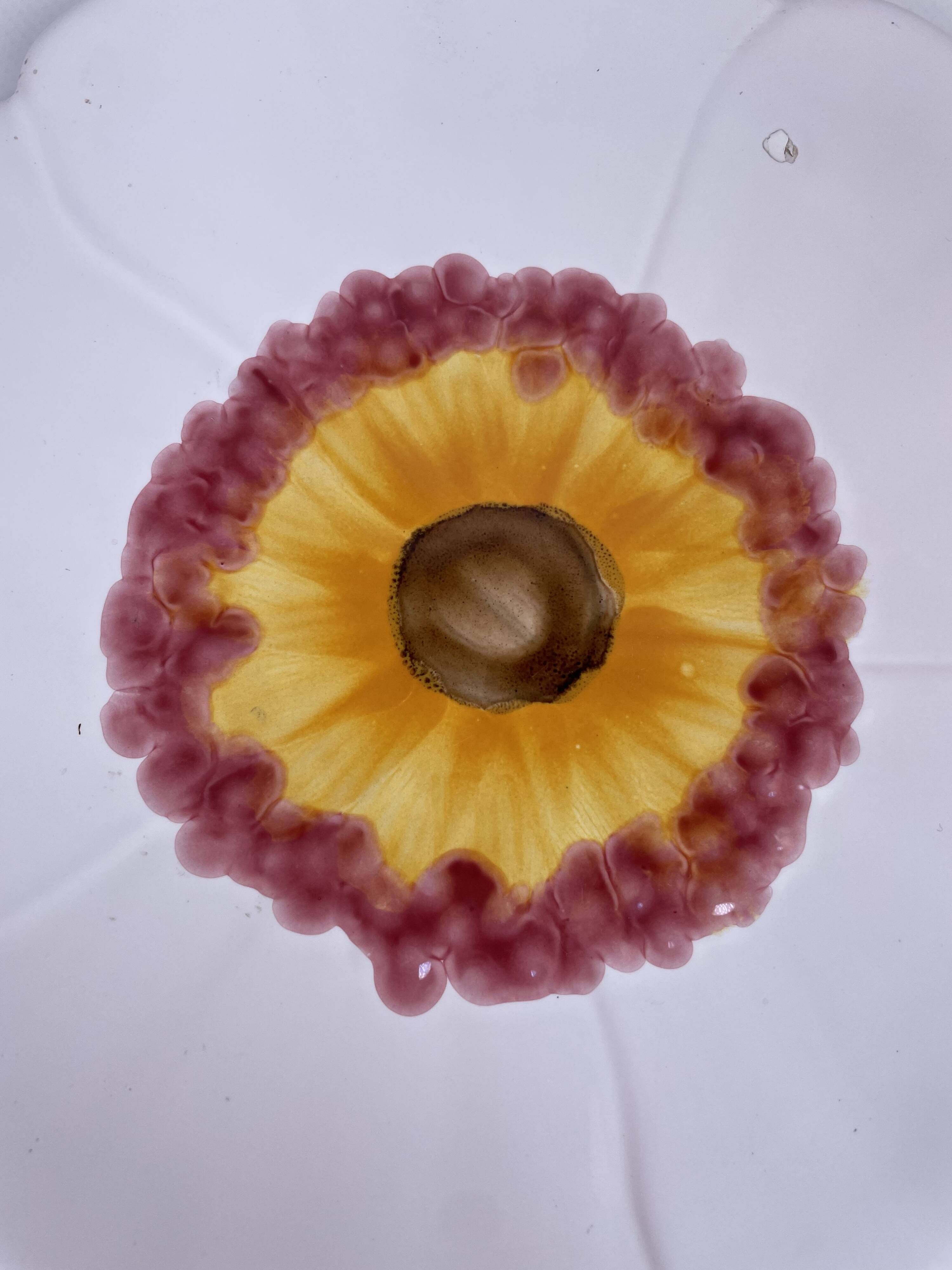 Assiette fleur en céramique de Vallauris