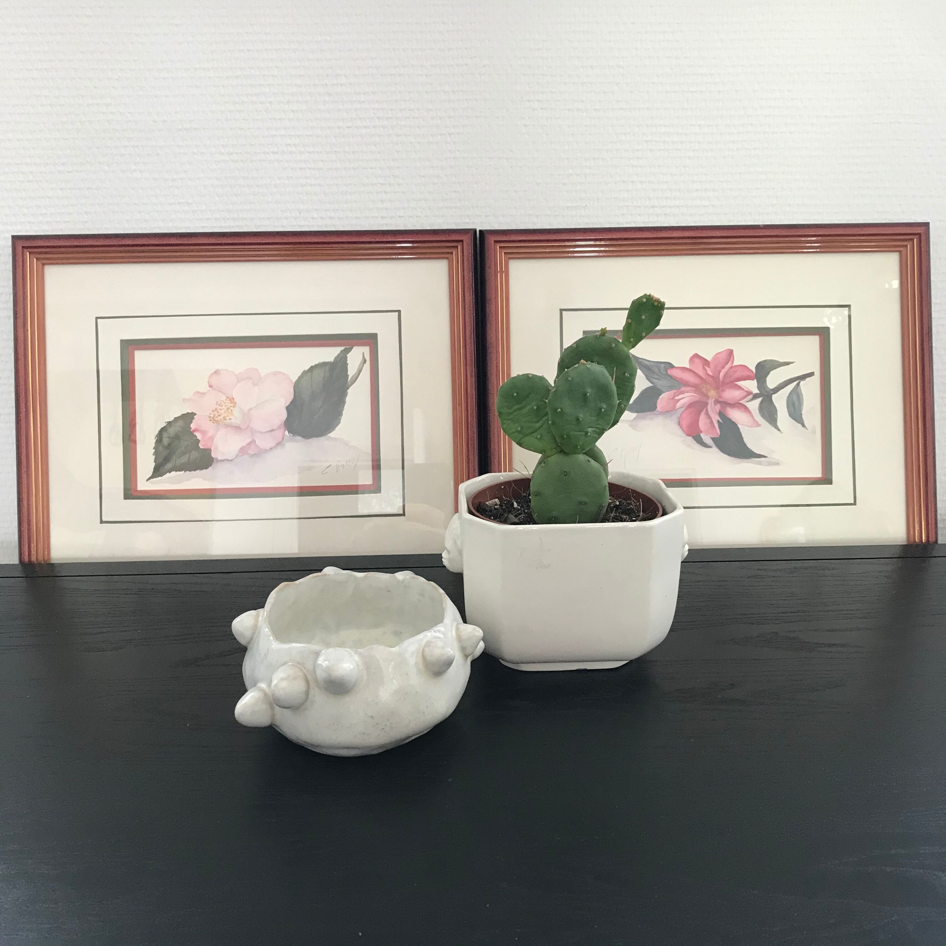 Botanical watercolour signed and framed