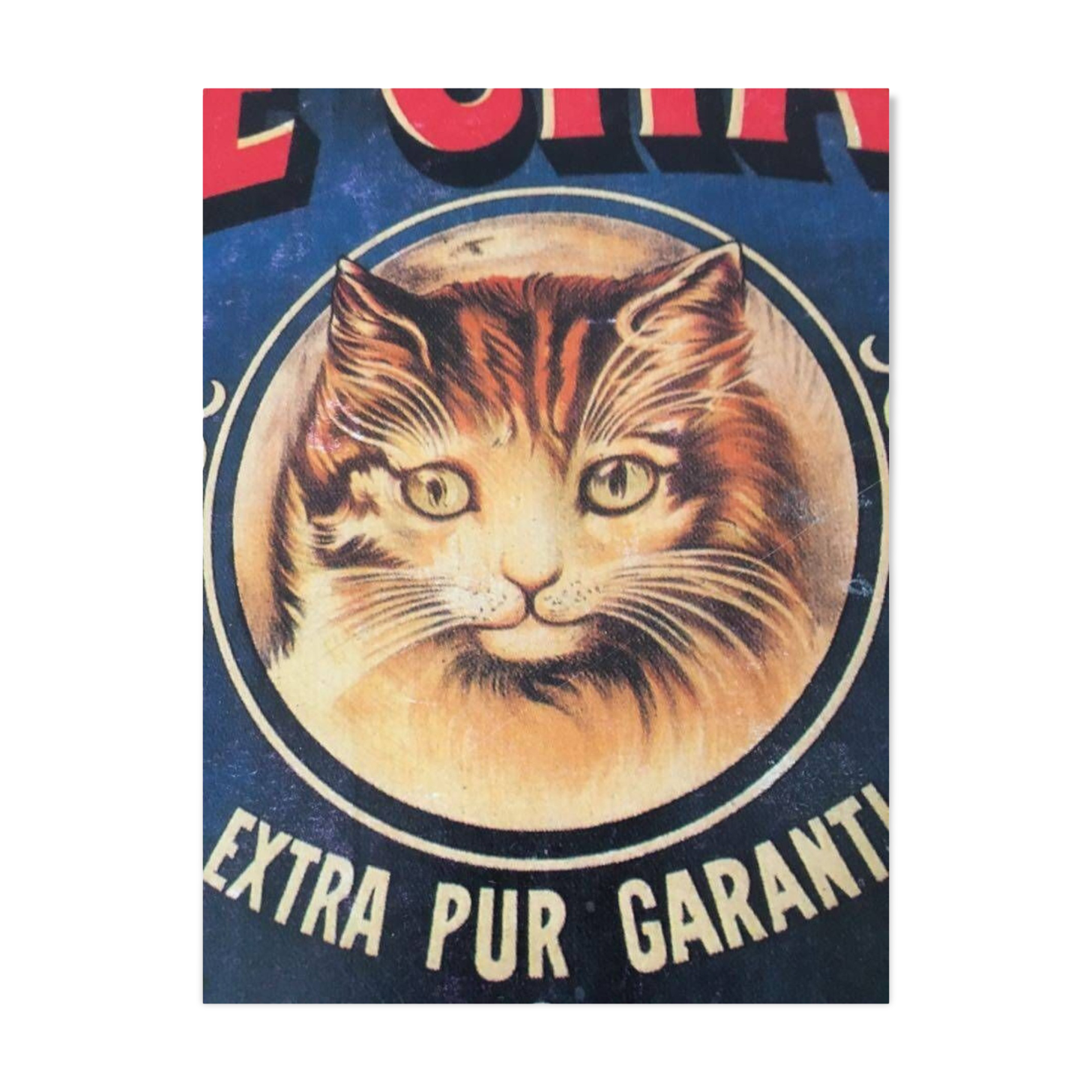 Reproduction of the "Soap the Cat" poster