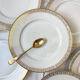 8 porcelain plates limoges w. guerin & cie blanche dorée