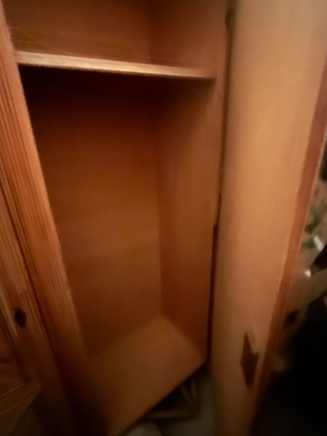 Rattan marquetry wardrobe from the 1950s.