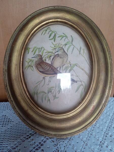 Antique oval curved glass frame 46/36c