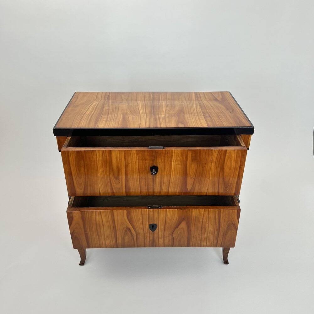 Biedermeier Chest of Drawers in Ebonized & Gilded Cherry Wood, Franconia, 1820s
