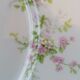 6 flat porcelain plates Limoges
