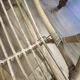 Set of 3 vintage rattan armchairs