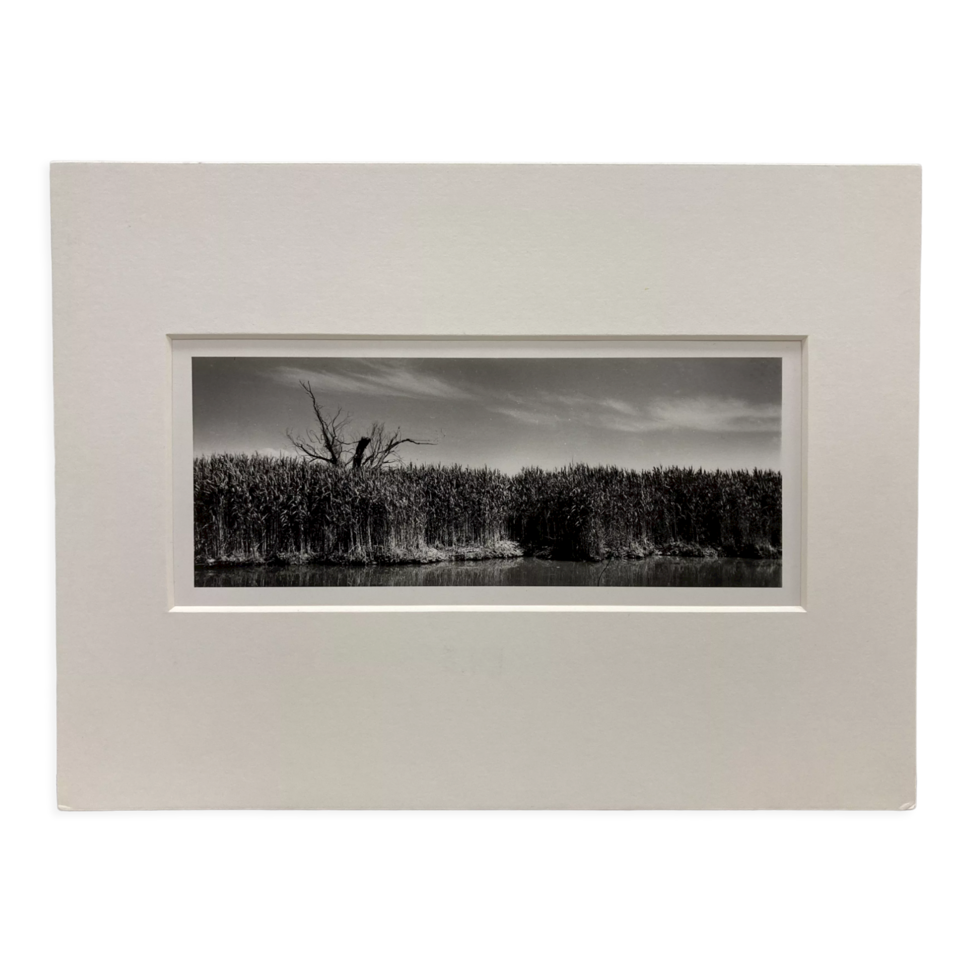 Film landscape photography