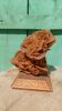 Rose of the sands on a base