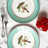 Assiettes plates anciennes dépareillées en faïence avec doré accompagnées d'un plat