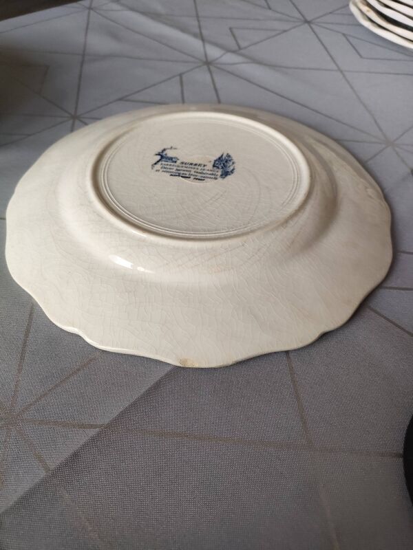 Assiette sarguemine surrey