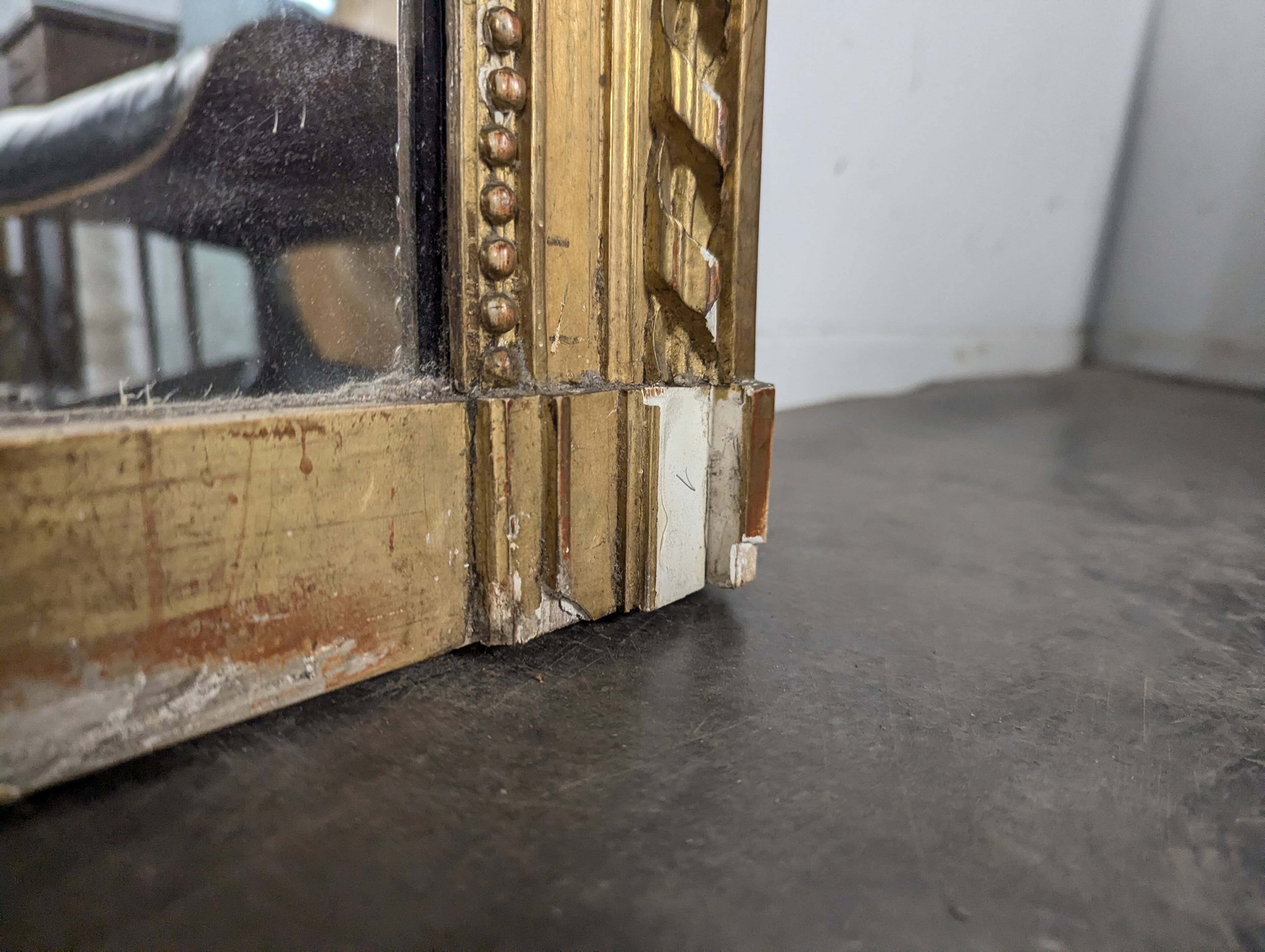 Golden Louis XVI style mirror with bouquet and shells.