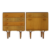 Paire de commodes Frantisek Mezulanik des années 1960, Tchécoslovaquie