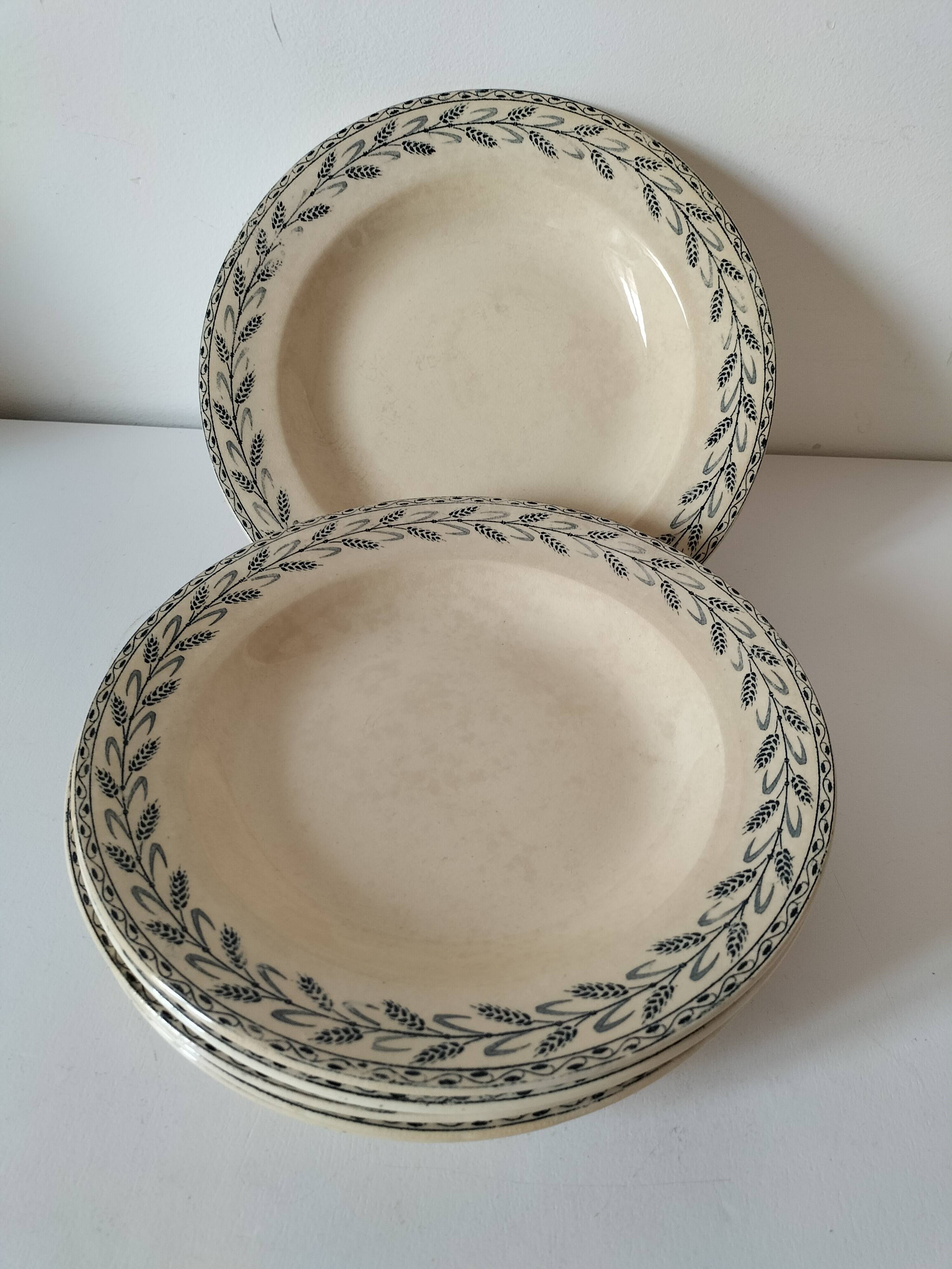 6 old E.C. Salins “Les Épis” ironstone soup plates