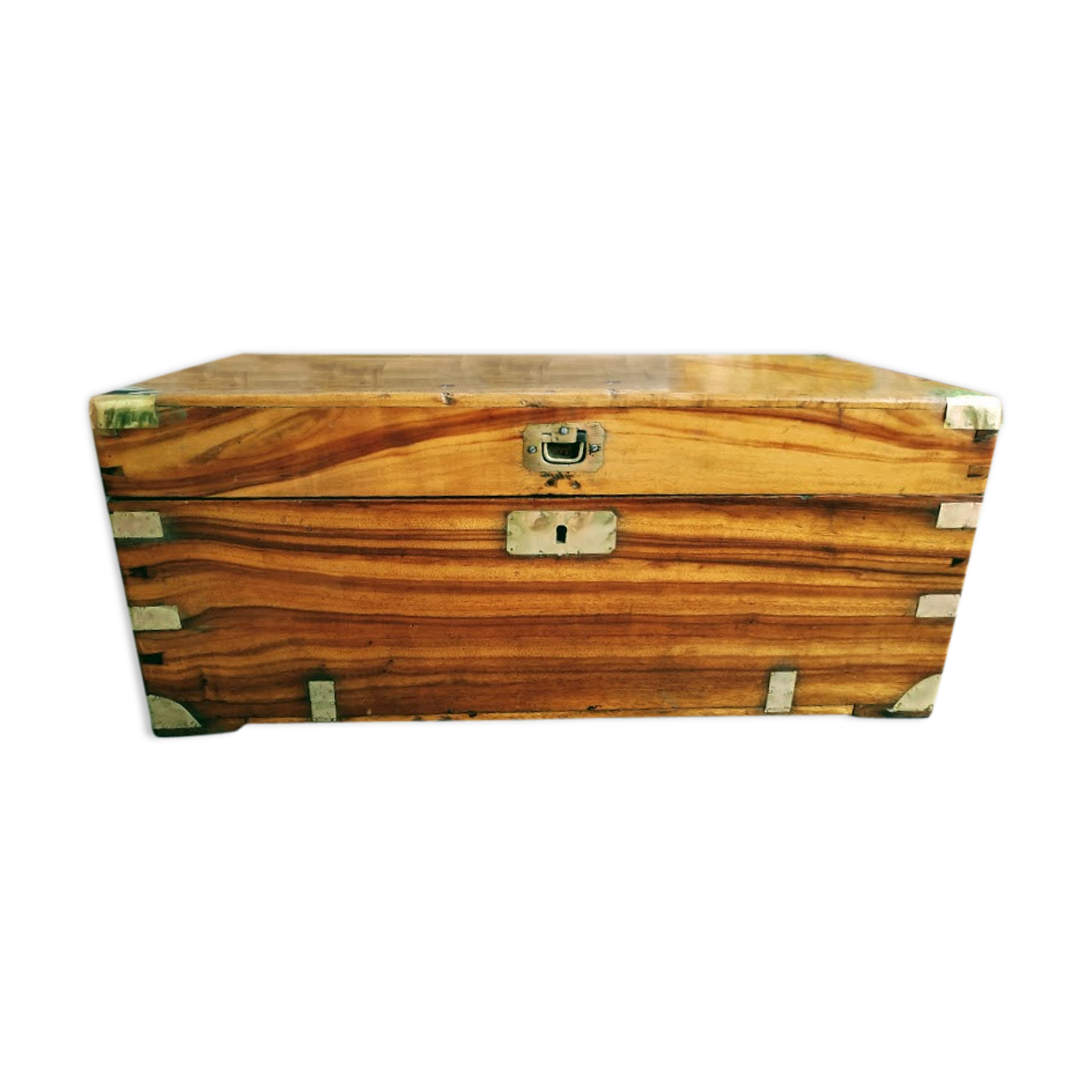 Trunk