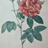 Tableau botanique