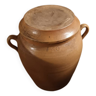 Salting box