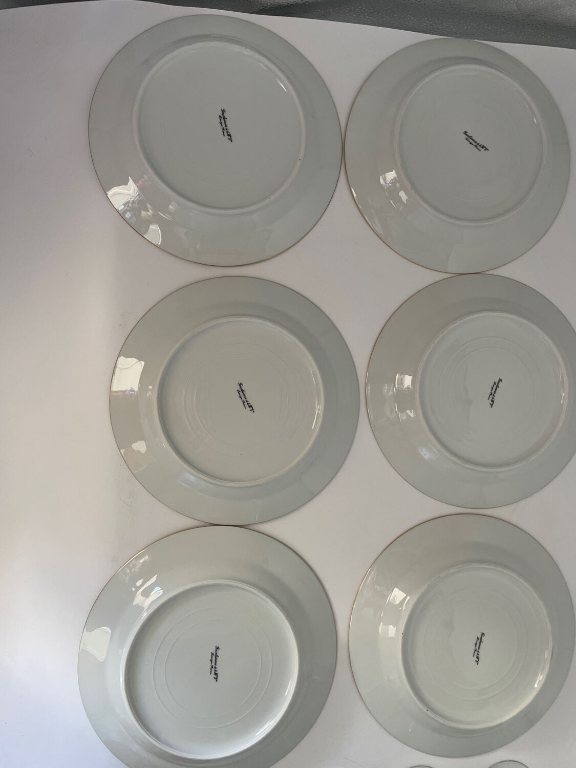 Six slightly hollow Limoges porcelain plates.