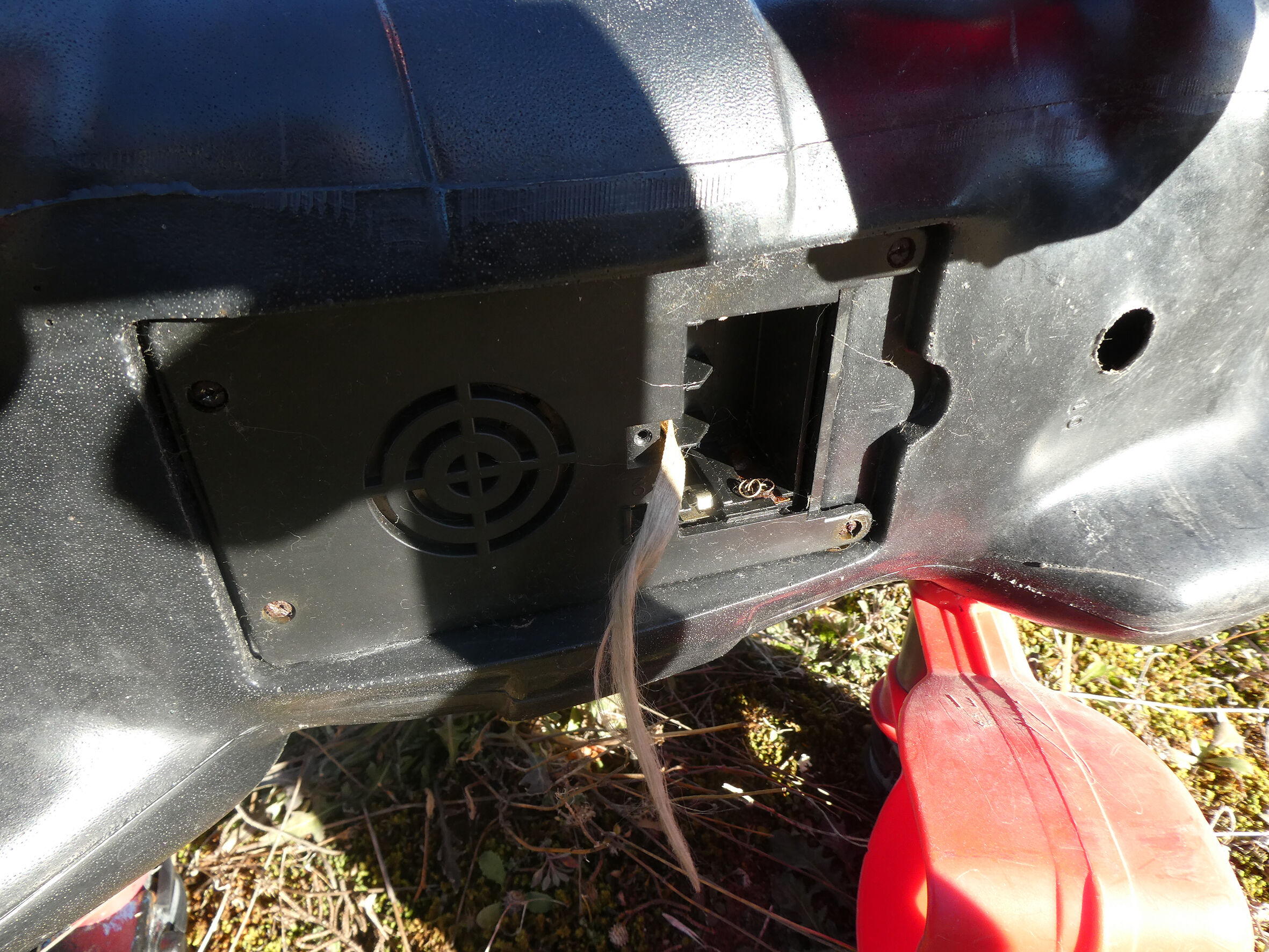 Vintage carousel riding horse