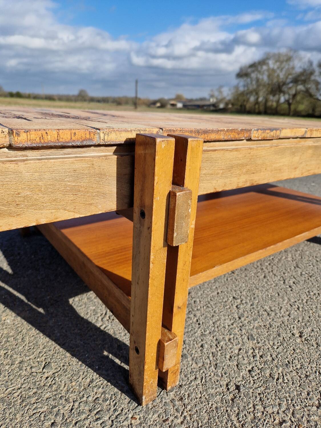 Vintage coffee table by Roger Capron, herbarium model