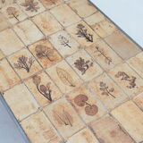 Rectangular metal and cermal herbarium coffee table by Roger Capron, 1960s
