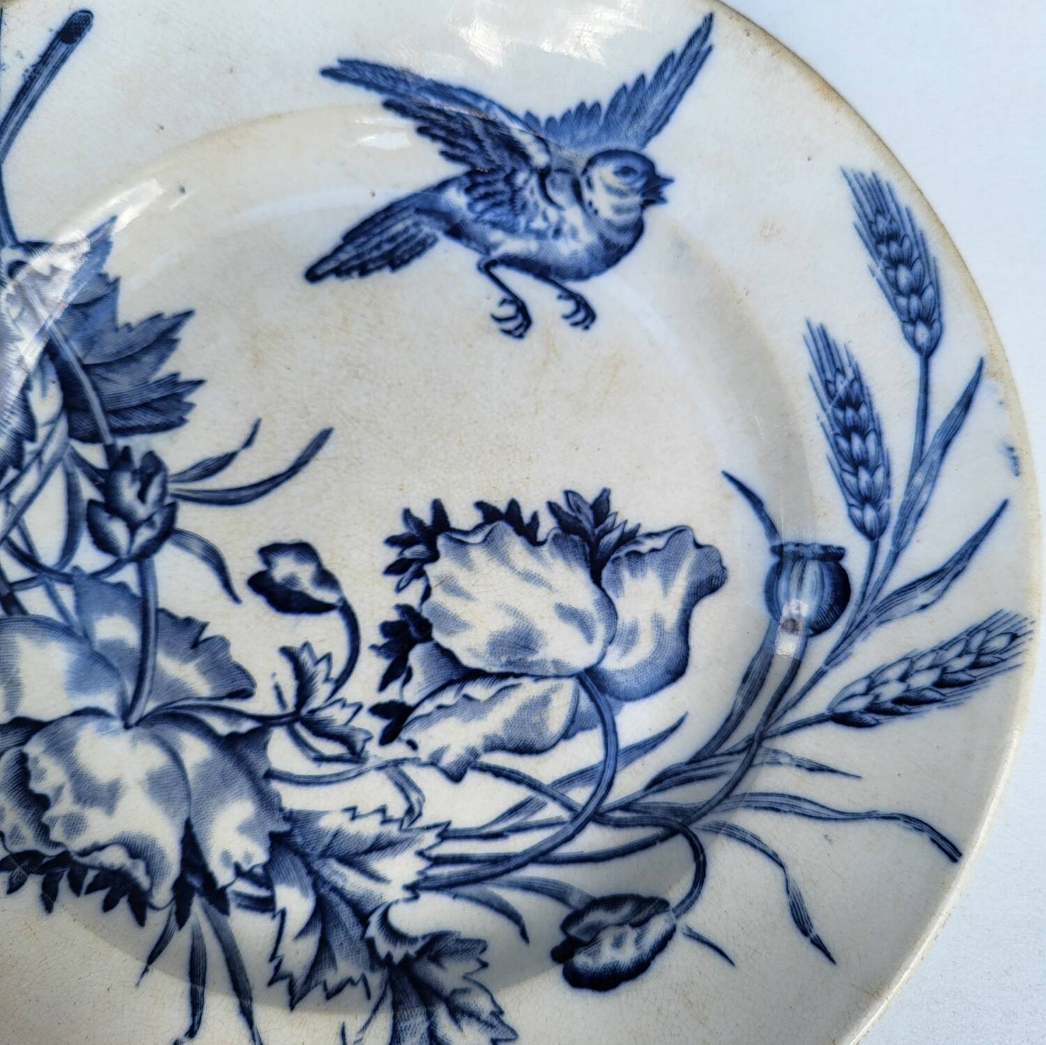 BFK Flora & Vögel Ironstone Plate