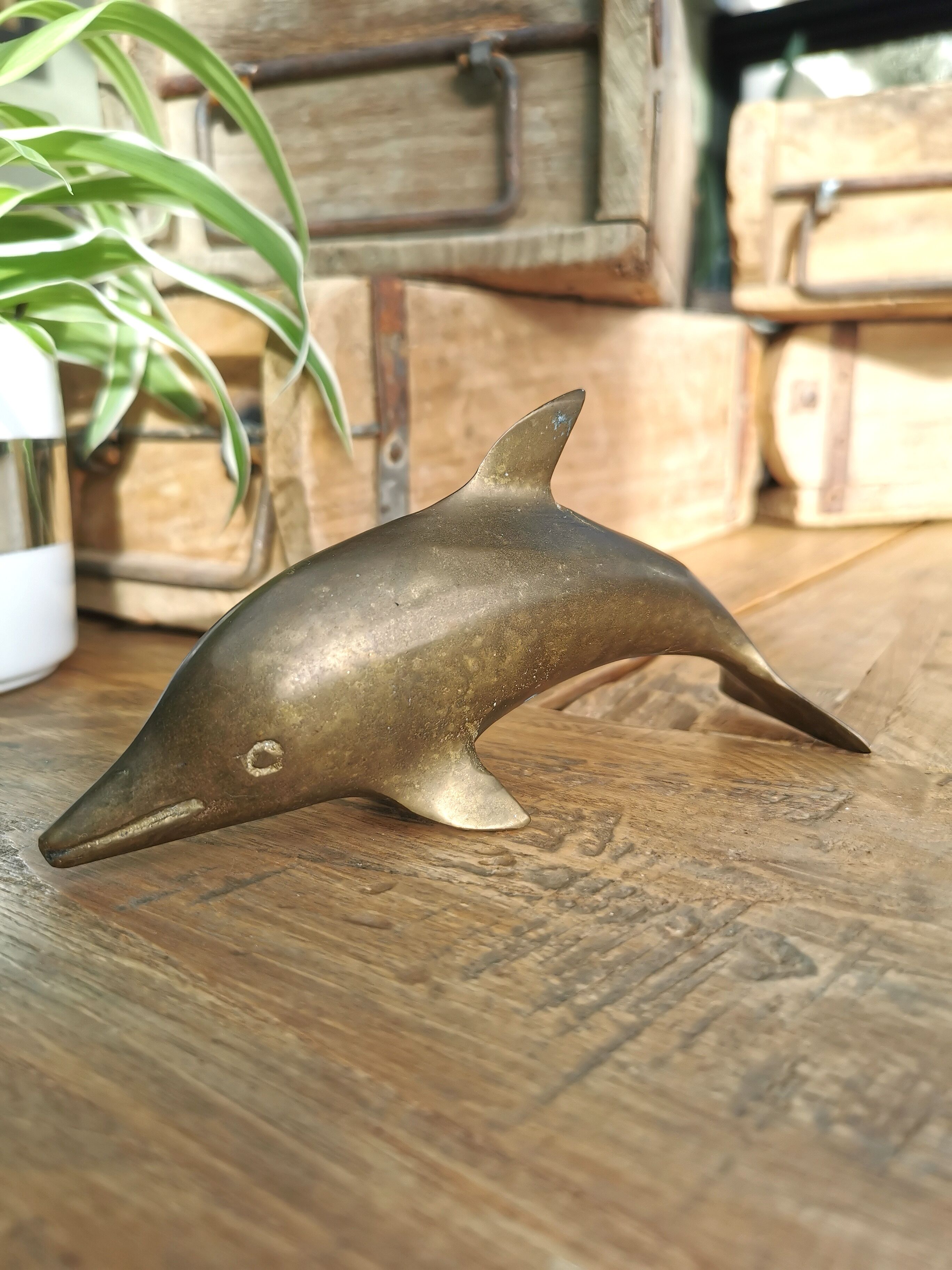 Brass dolphin