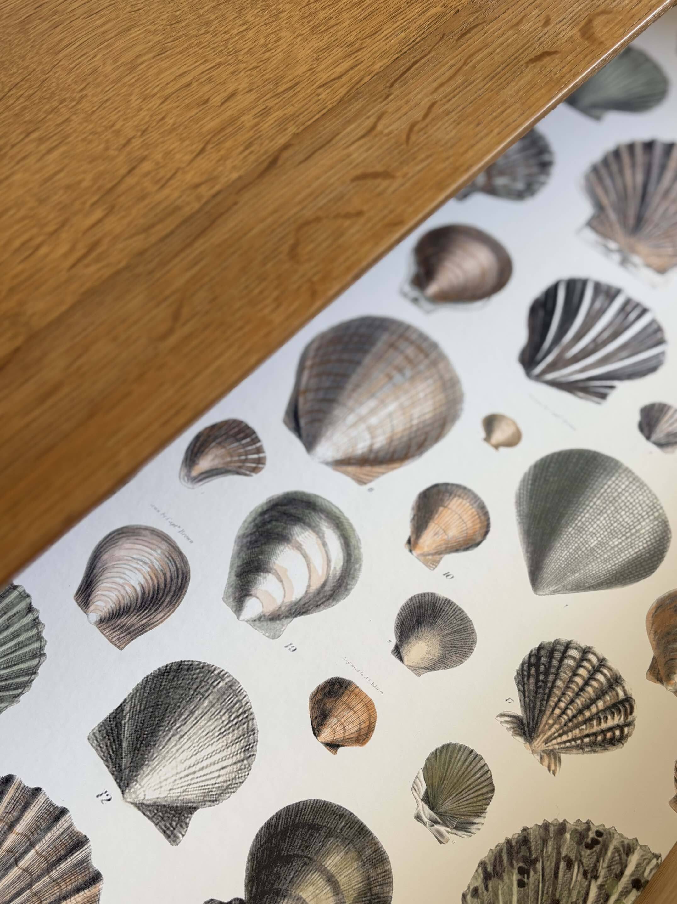 Vintage Scandinavian design commode from the 1950s.