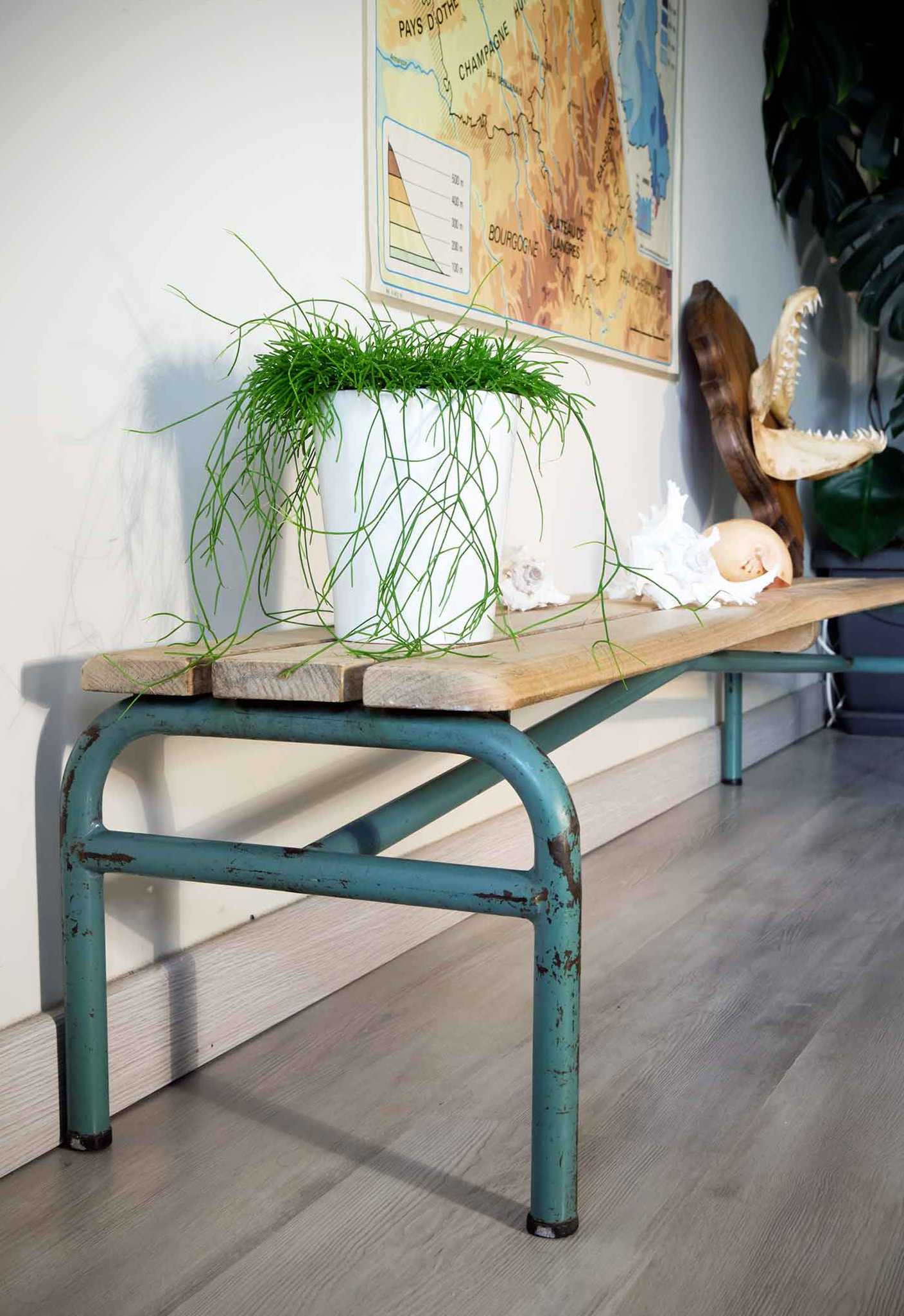 Delagrave school bench year 50-60