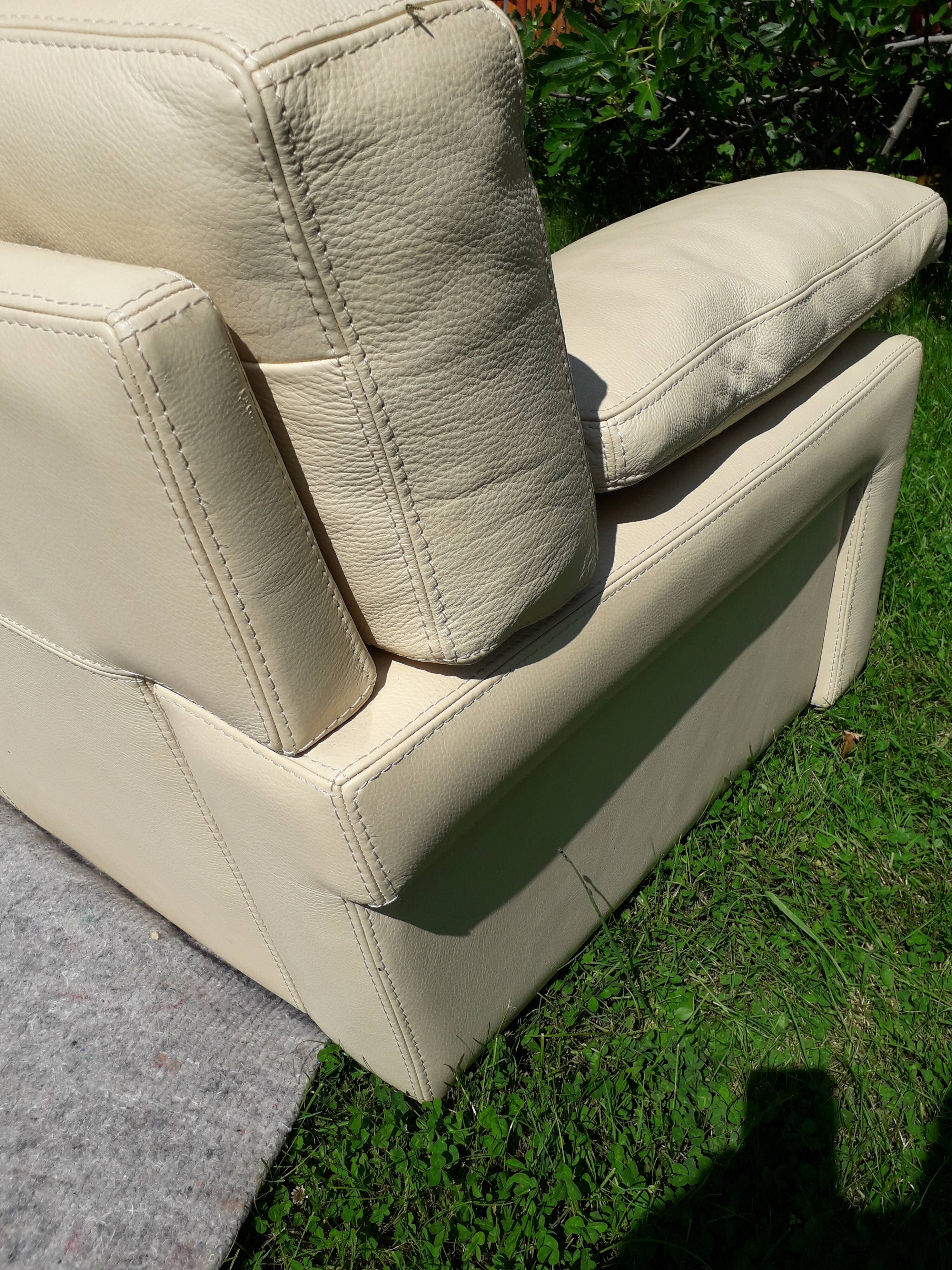 Canape cuir roche bobois