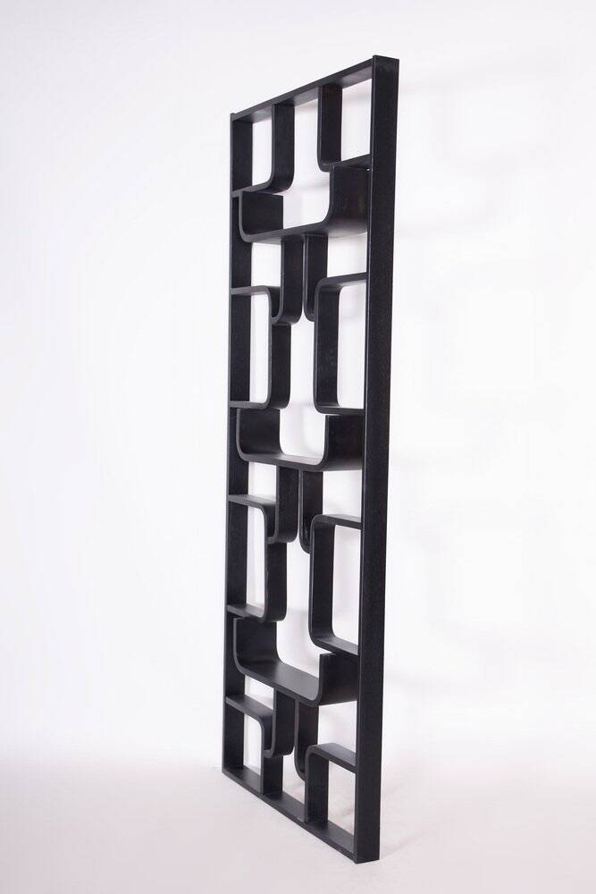 Mid-Century Room Divider Wall Unit by Ludvik Volak for Drevopodnik Holesov, 1960s