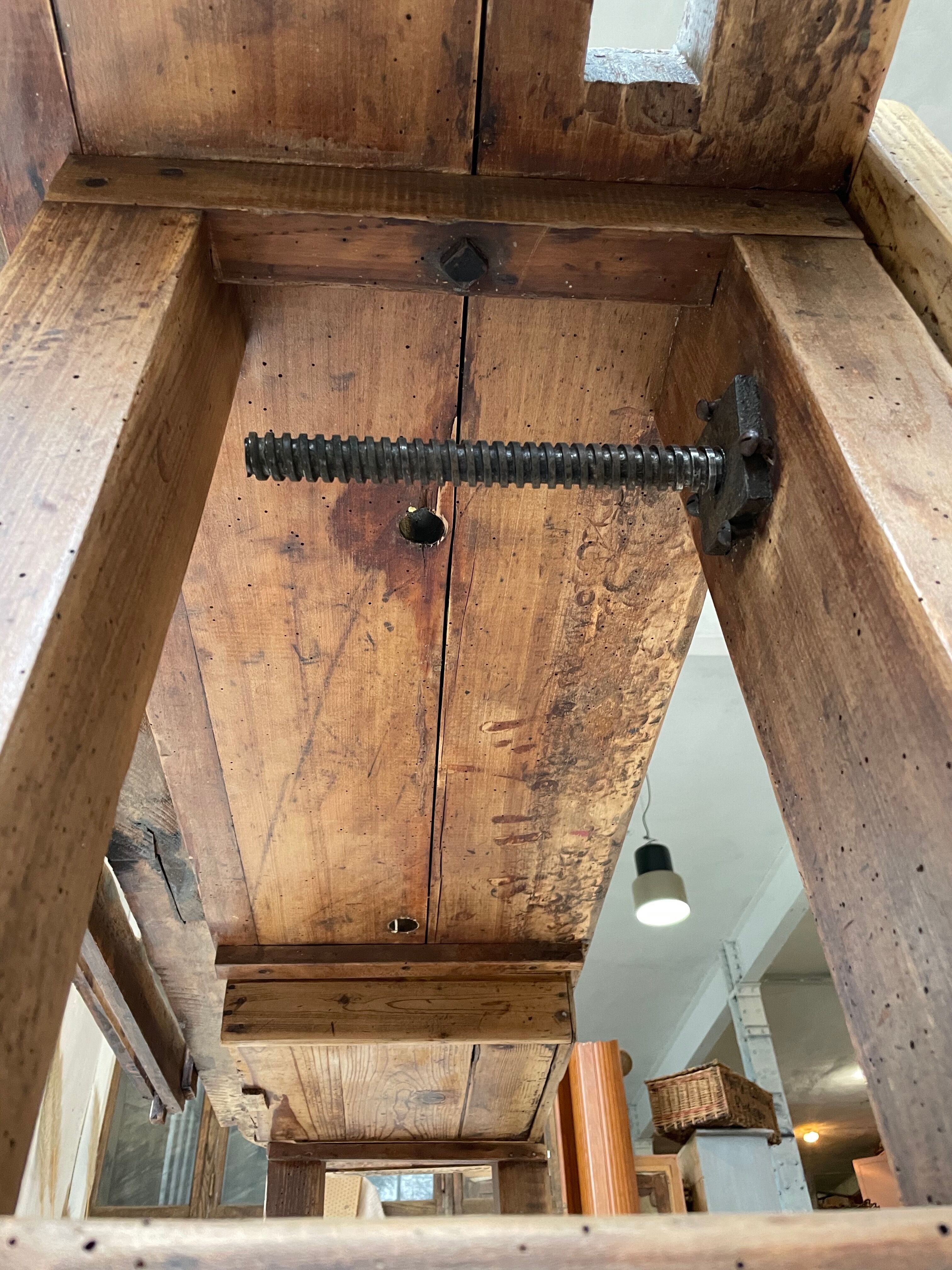 Established old oak XL