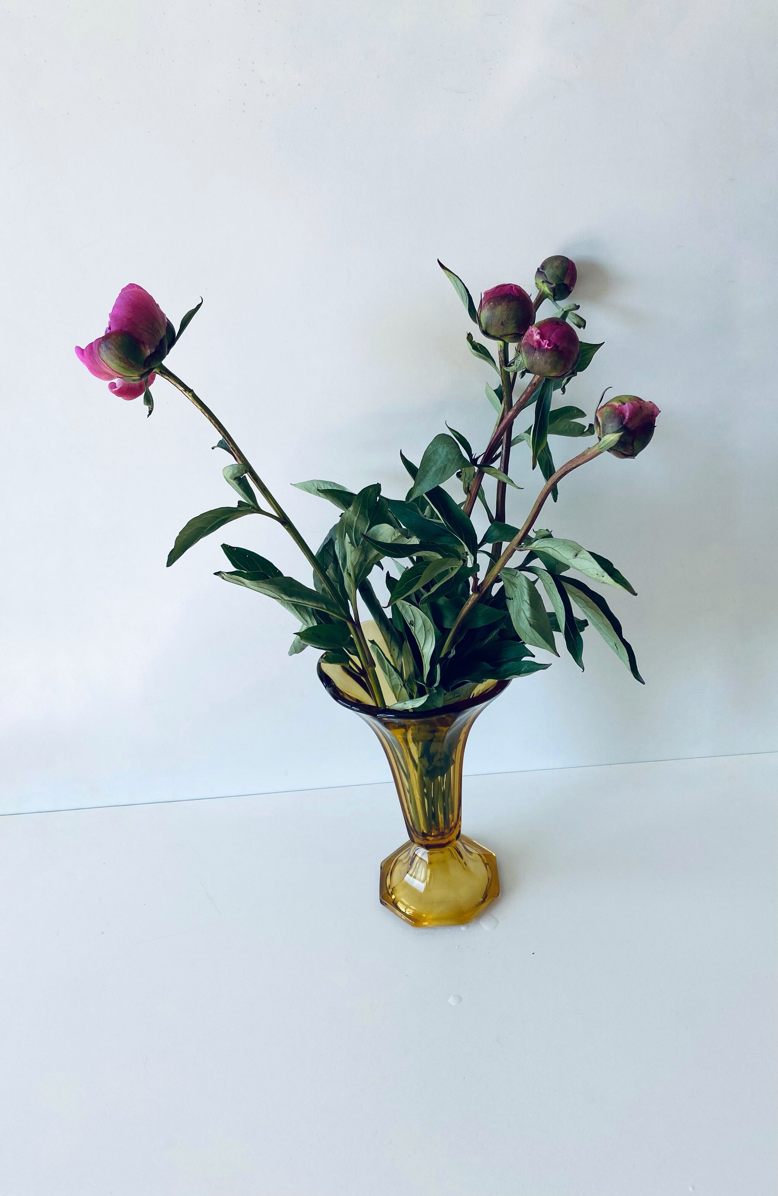 Ancient tulip vase in amber glass