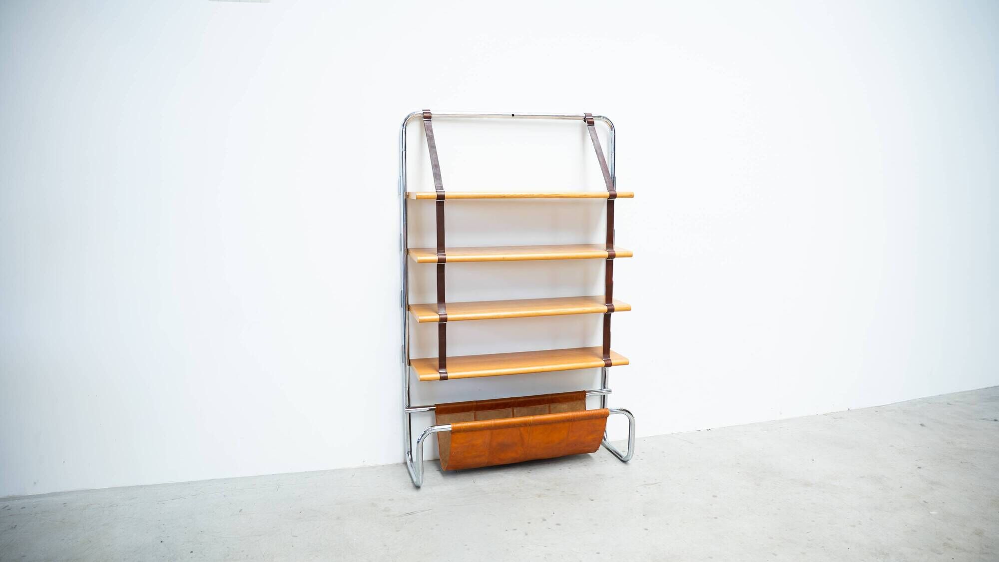 Jumbo Bookcase by Luigi Massoni for Poltrona Frau
