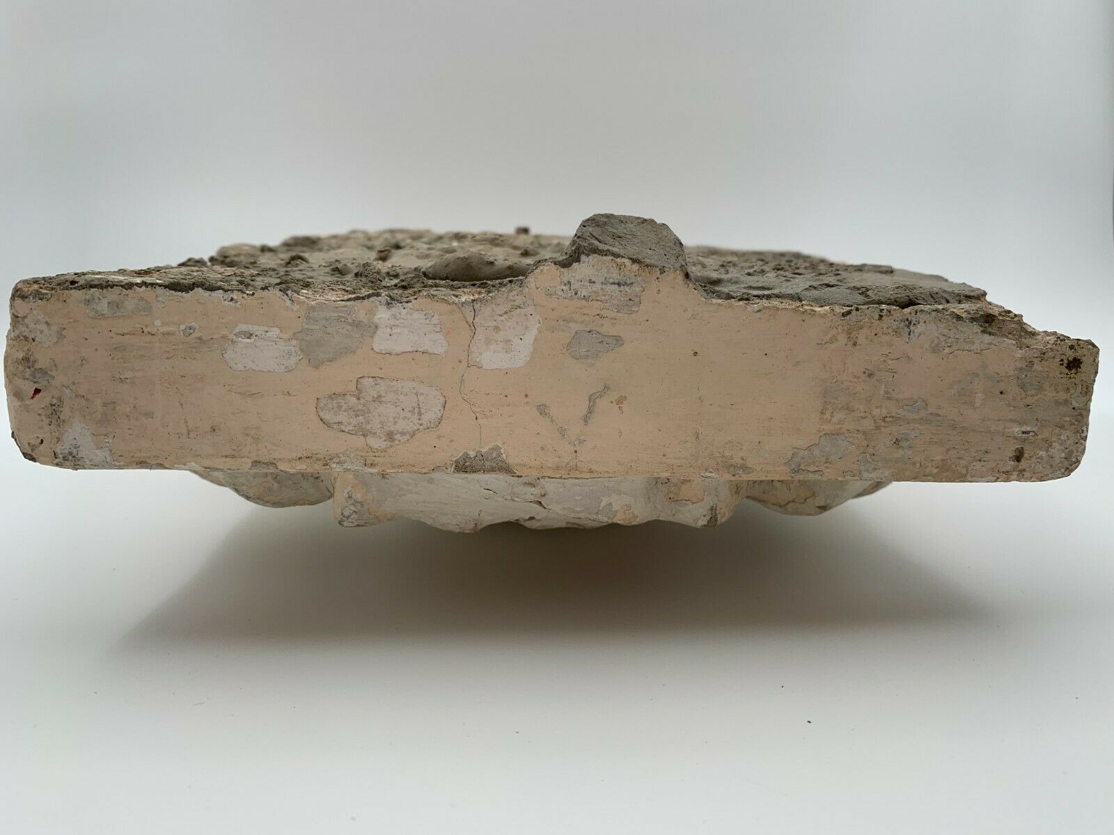 STONE SHELL 19TH PATINA OF ORIGIN SCULPTURE