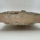 STONE SHELL 19TH PATINA OF ORIGIN SCULPTURE