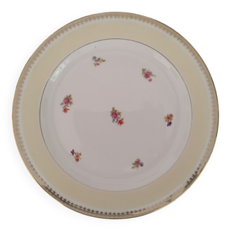 Plat rond plat porcelaine émaux de limoges